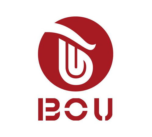 BOU商标在第16类（办公用品）的注册状态查询指南与信息解析