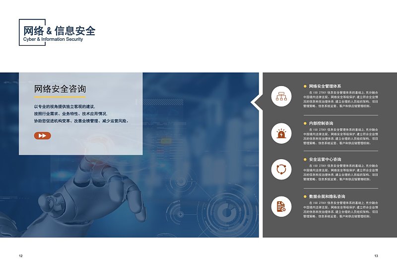网络信息安全产品简介模板及其市场调研分析